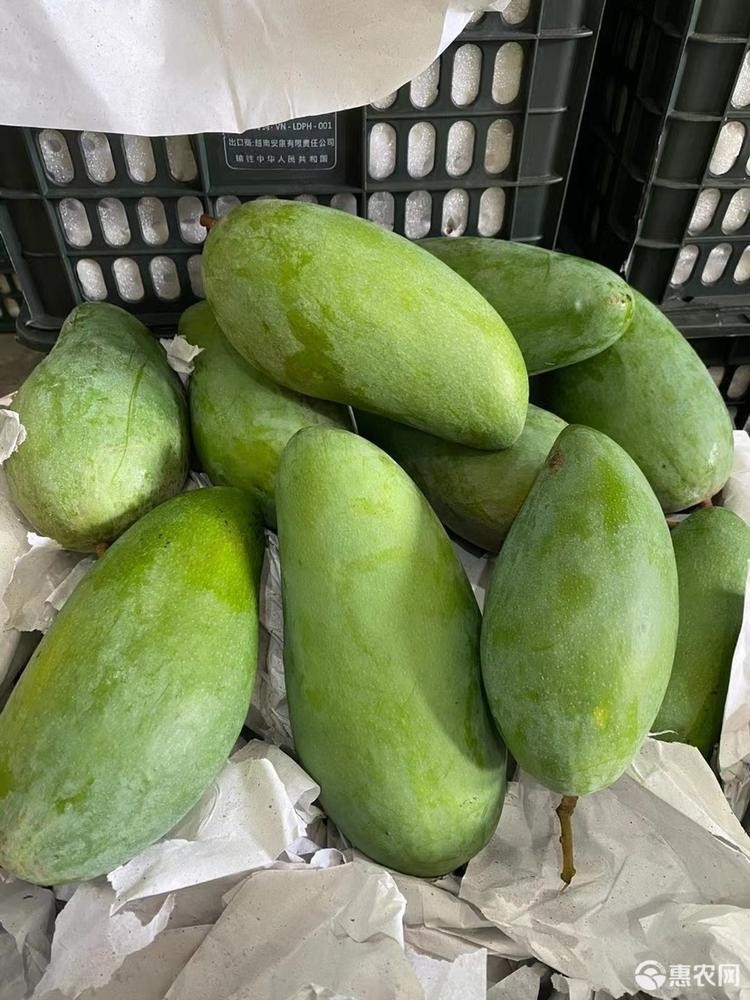 大青芒果特大10斤新鲜青皮忙果金煌芒整箱包邮水果凯特芒果当季