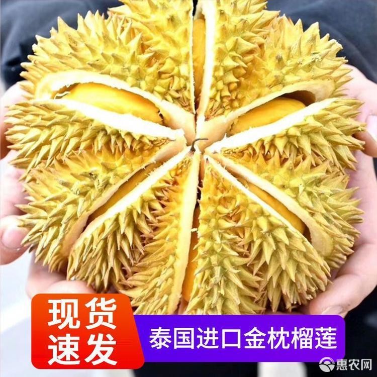 泰国金枕头榴莲新鲜带壳一整个水果巴掌批发非猫王甲伦精品果代发